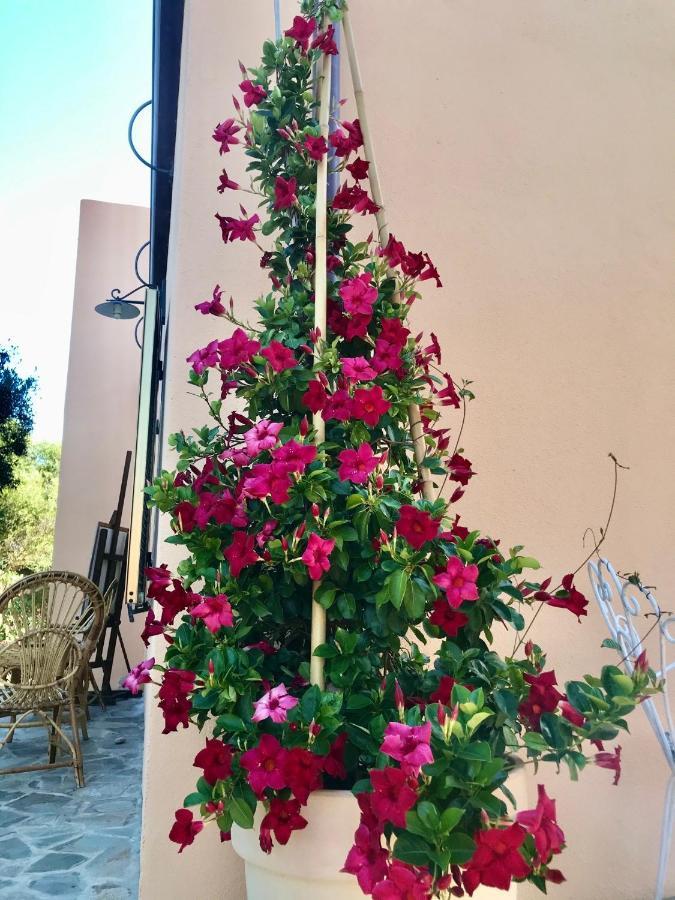 Bed and Breakfast Le 25 Tartarughe Santa Teresa di Gallura Esterno foto