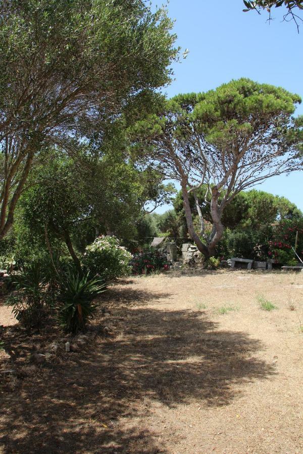 Bed and Breakfast Le 25 Tartarughe Santa Teresa di Gallura Esterno foto