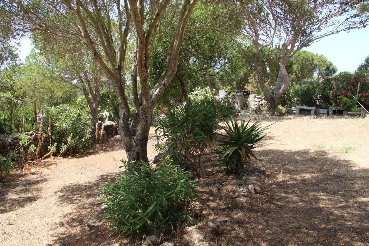 Bed and Breakfast Le 25 Tartarughe Santa Teresa di Gallura Esterno foto