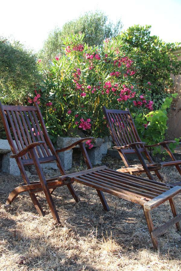 Bed and Breakfast Le 25 Tartarughe Santa Teresa di Gallura Esterno foto